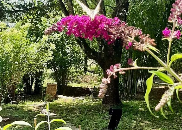 D'hotes L'heure Bleue Bed and breakfast 3*